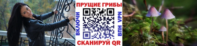 Галлюциногенные грибы Psilocybine cubensis  где купить наркоту  Буинск 
